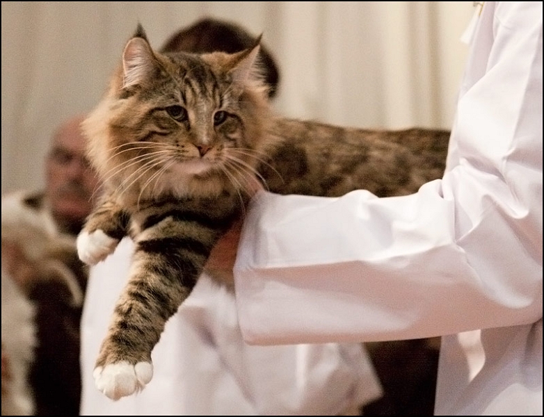 Super Tramp des Fines Terres 3.jpg - Super Tramp des Fines Terres